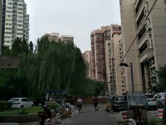 -芍药居北里