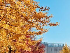 -辽宁大学(崇山校区)