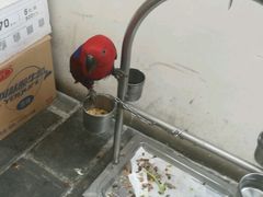 -丽江庭院之爱在路上(西单店)