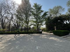 -玲珑塔公园