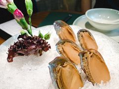 手工冰镇鲍鱼-木棉·醉心粤味(COCO Park店)