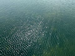 -滆湖低碳生态公园