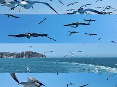 -海驴岛(荣成市)