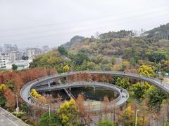 -福道