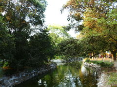 -沙市市中山公园