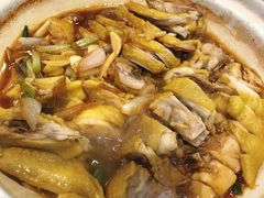 葱香油淋鸡-砂唐居(总店)