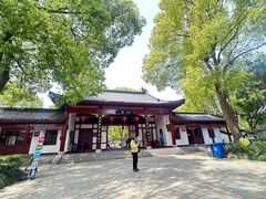 -南汇桃花村
