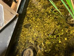 -邈墨茶馆(凤起路店)