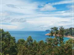 -广东惠东海龟国家级自然保护区