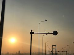 -星海湾跨海大桥