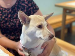 -颜家味·成都菜(望平街店)