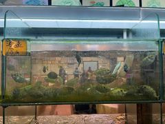 -金生美食(贵州路店)