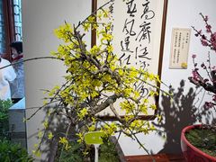 -迎泽公园