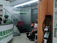 -爱侣宠医·鹦鹉专科·小型哺乳类·异宠专科(灵石路店)