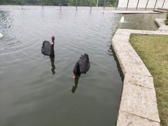 -行者书屋大堂吧 ·下午茶(南京圣和府邸酒店)