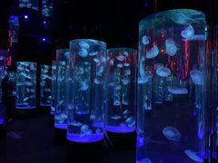 -成都浩海立方海洋公园