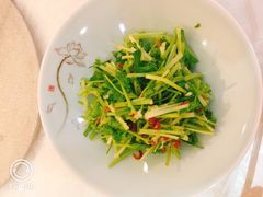 -科信海鲜主题餐厅(南通路店)