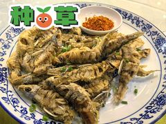 干炸墨线鱼-高坎一品甲鱼庄(两河店)