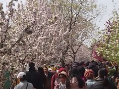 -元大都城垣遗址公园