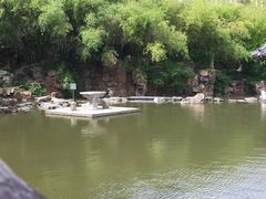 -水绘园