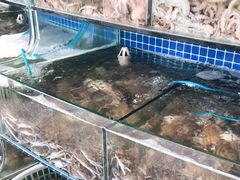 水产区-蟹谢蒸鲜自助餐厅