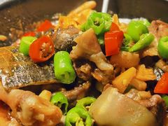 金牌甲鱼煲-外婆家(义乌新光汇购物中心店)