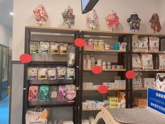 -伟伟宠物医院·瑞派猫友好医院·猫科(光谷店)