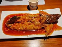 -宋小谨(惠安禹洲店)