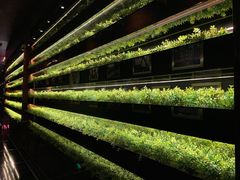 大堂-L'ATELIER de Joel Robuchon(外滩18号店)