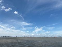 -大湾区中央湿地公园