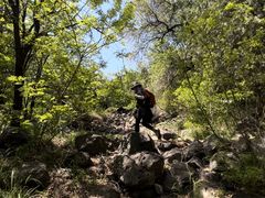 -阳台山自然风景区