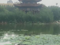-青城公园