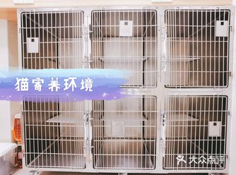 还在为过年寄养出去玩 家里的猫咪狗狗没地方去烦恼嘛