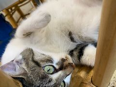 -铜瓢江湖兔火锅(水碾河社区店)