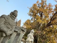 -北京石刻艺术博物馆(五塔寺)