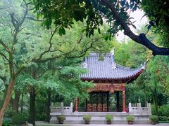 -汇龙潭