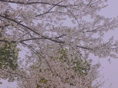 -良渚文化村