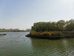 -大兴滨河森林公园