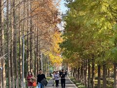 -昆山城市生态森林公园