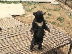 -青岛森林野生动物世界