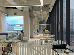 -怪兽屋·羊驼·猫咖·狗咖(俊华广场店)