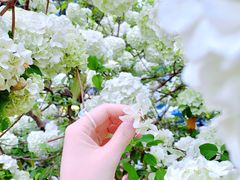 -大龙山(地铁站)