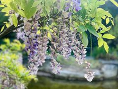 -上海吴淞炮台湾国家湿地公园