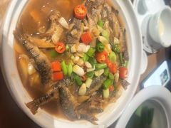 -新昌土菜馆(左于店)