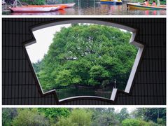 -晓港公园