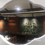 果然名不虚传。这里离我们住的河南鸿元酒店很近