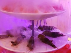 -狼爱上羊音乐火锅