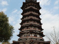 -洋湖国家湿地公园