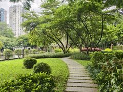 -晓港公园