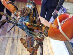 -开海·红岛海鲜虾水饺(石老人店)
